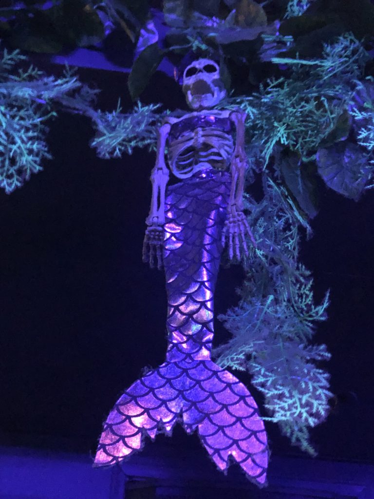 A mermaid skeleton at The Mermaid in Little Tokyo (Photo: Liz Ohanesian)