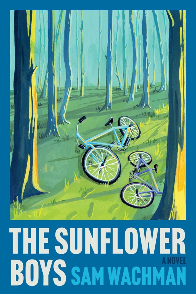 cover of The Sunflower Boys by Sam Wachman