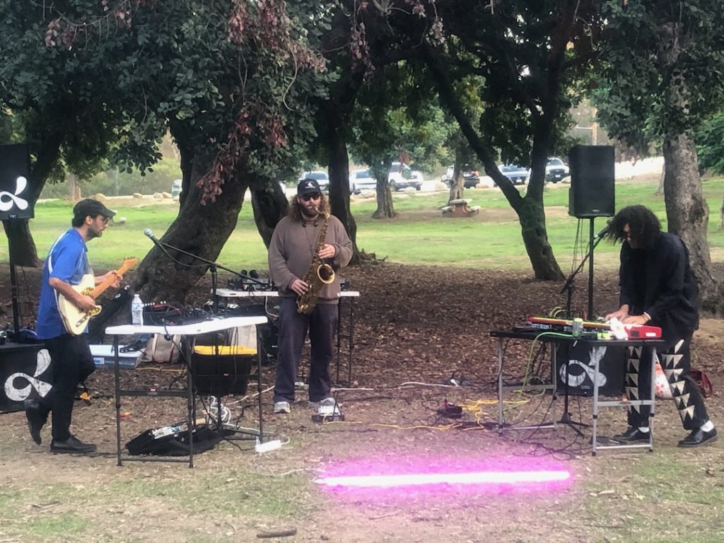 Pets live at Elysian Park in the Social Forest: Oaks of Tovangaar (Photo: Liz Ohanesian)