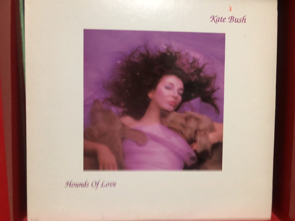 Kate Bush Hounds of Love vinyl