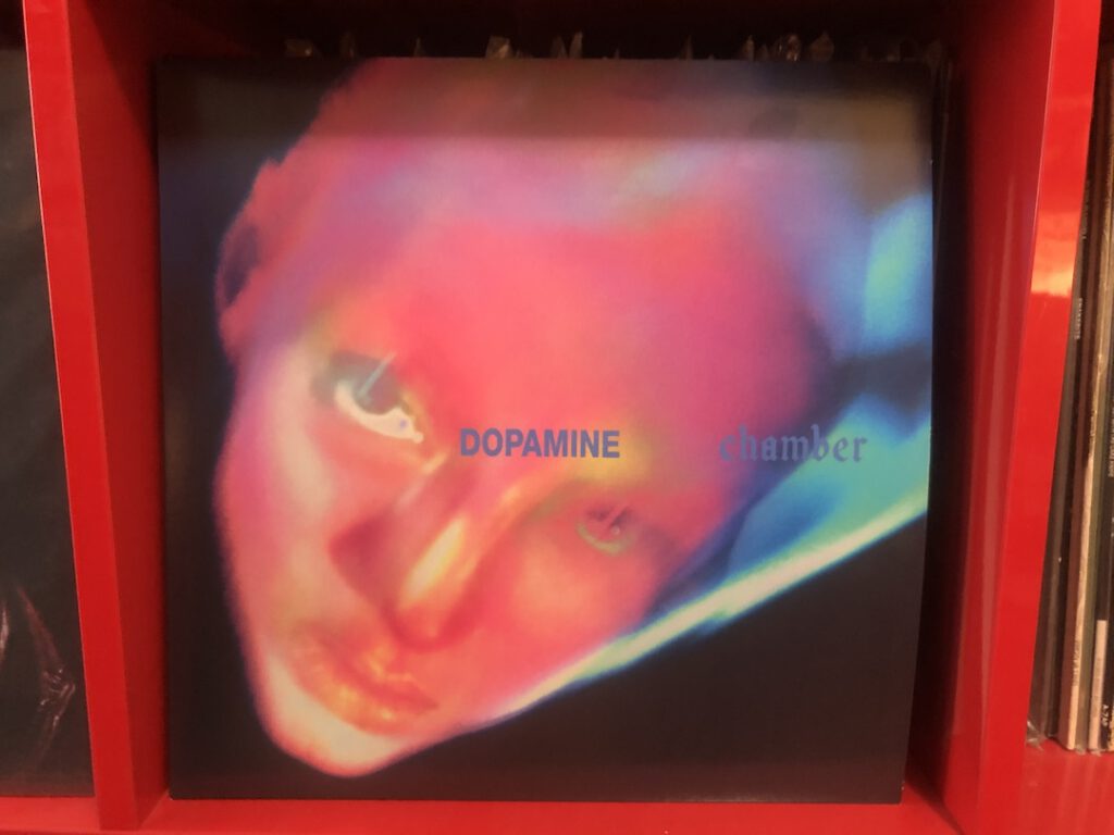Fontaines D.C. Dopamine Chamber vinyl (Photo:Liz Ohanesian)